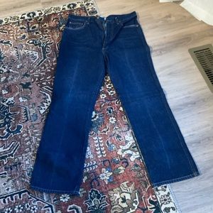 Agolde Pinch Waist in Radio Wash